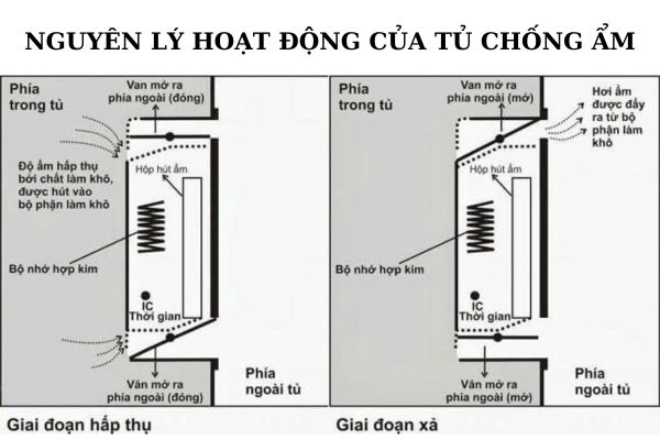 Nguyên lý hoạt động tủ chống ẩm