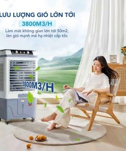 Máy Làm Mát Không Khí Hòa Phát HPCF1-012