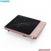 Bếp Từ Đơn Fujihome IC1207P