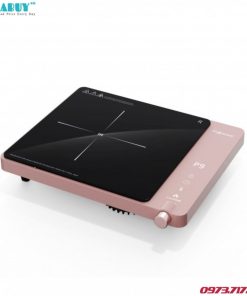 Bếp Từ Đơn Fujihome IC1207P