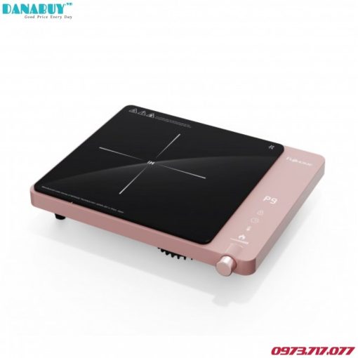 Bếp Từ Đơn Fujihome IC1207P