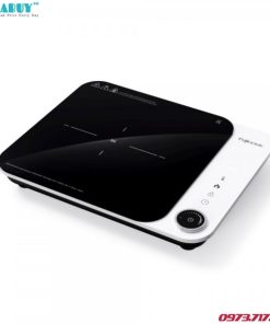 Bếp Từ Đơn Fujihome IC1901W