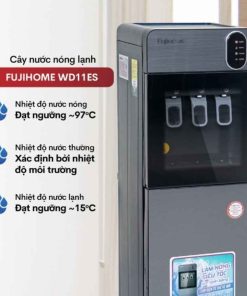 Cây nước nóng lạnh Fujihome WD11ES 3 vòi bình âm
