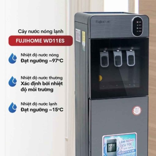 Cây nước nóng lạnh Fujihome WD11ES 3 vòi bình âm