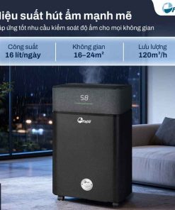Máy hút ẩm FujiE HM-916ED