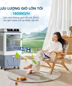 Quạt điều hoà Hòa Phát HPCF1-022