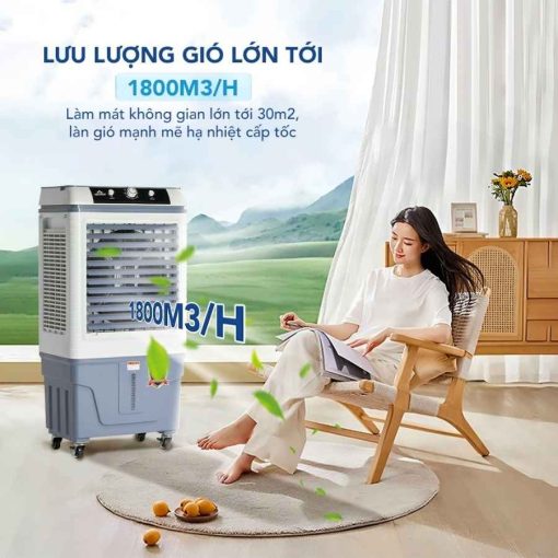 Quạt điều hoà Hòa Phát HPCF1-022