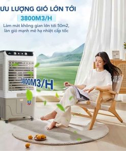 Quạt nước Hòa Phát HPCF1-061 55 Lít